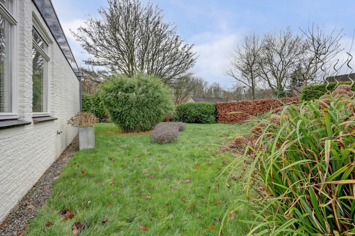 Photo 39 of Melkweg 22