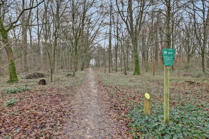 Photo 45 of Melkweg 22