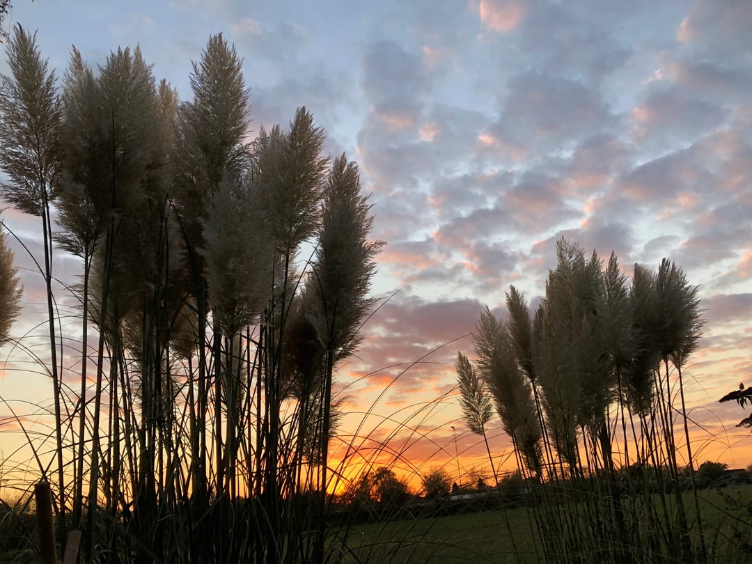 Foto 38 van Sluisweg 14