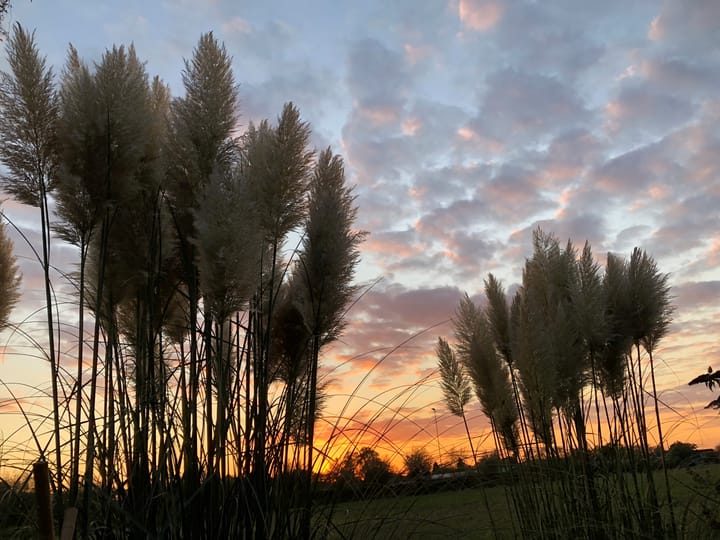 Foto 38 van Sluisweg 14