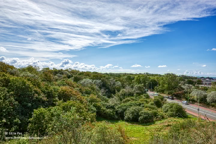 Photo 42 of Valkenboskade 631