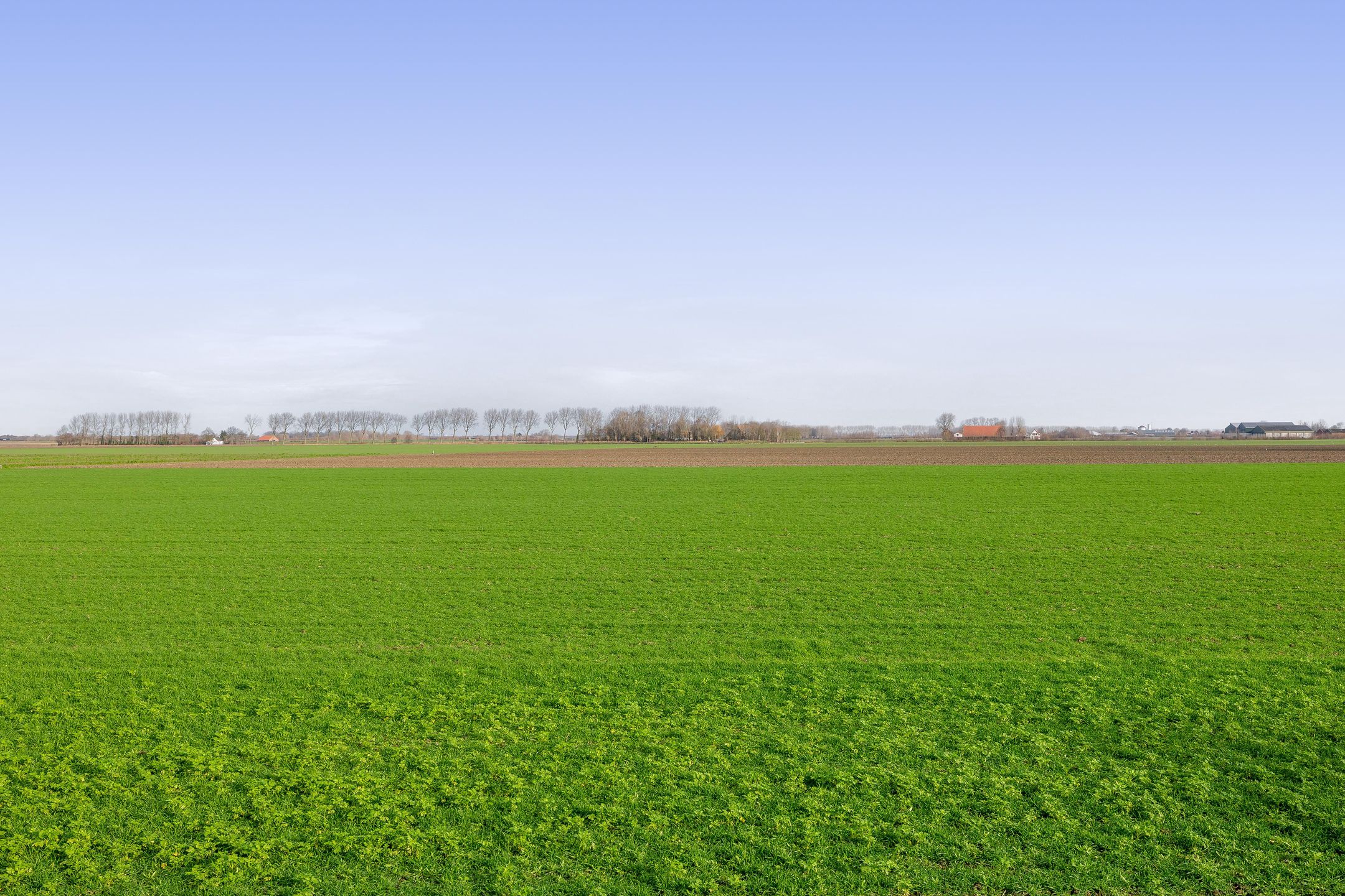 Foto 51 van Sint Bavodijk 12