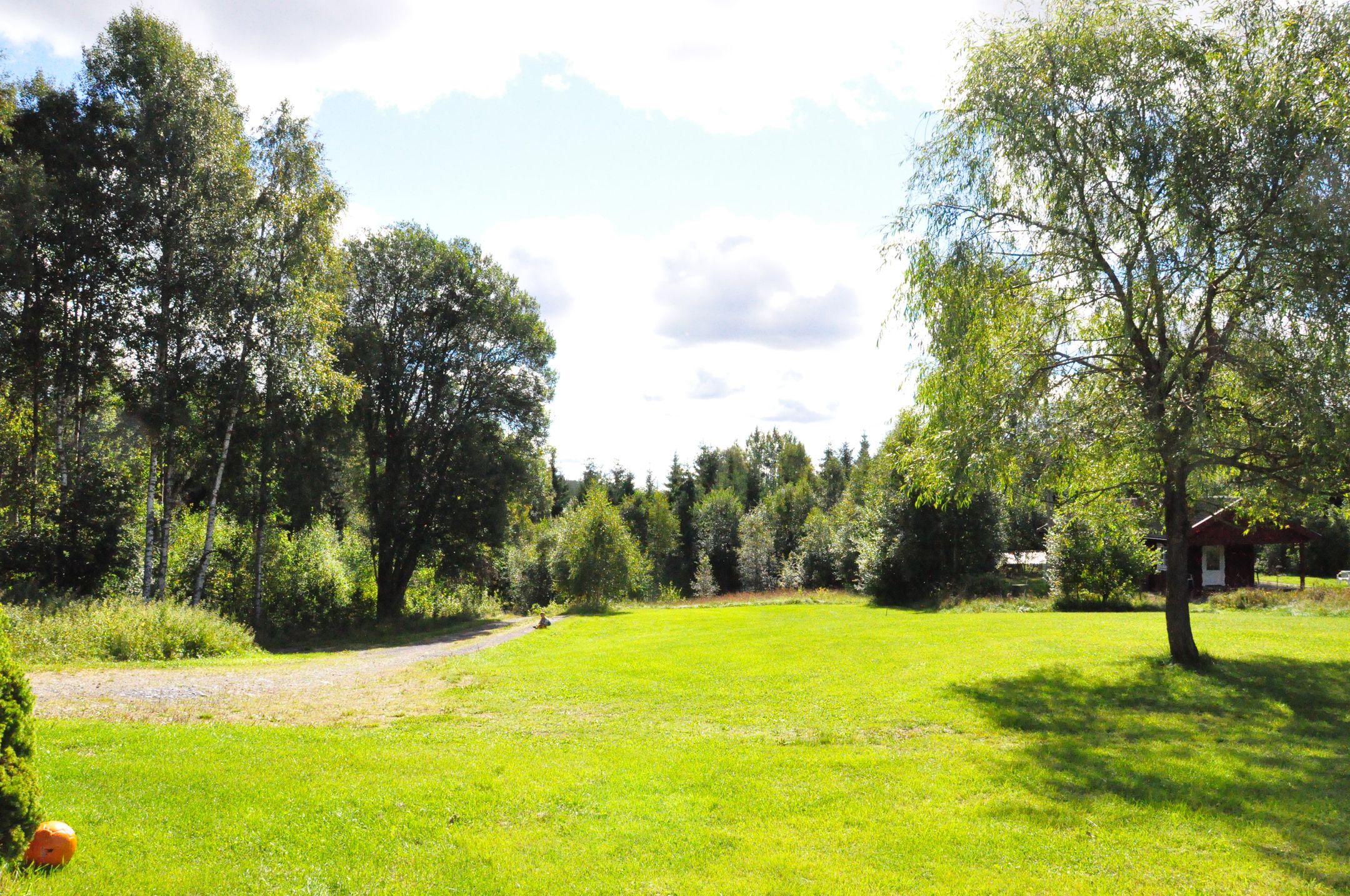 Foto 3 van Skåltjärn 120