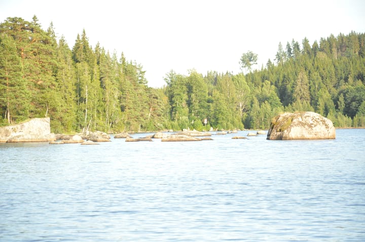 Foto 5 van Skåltjärn 120