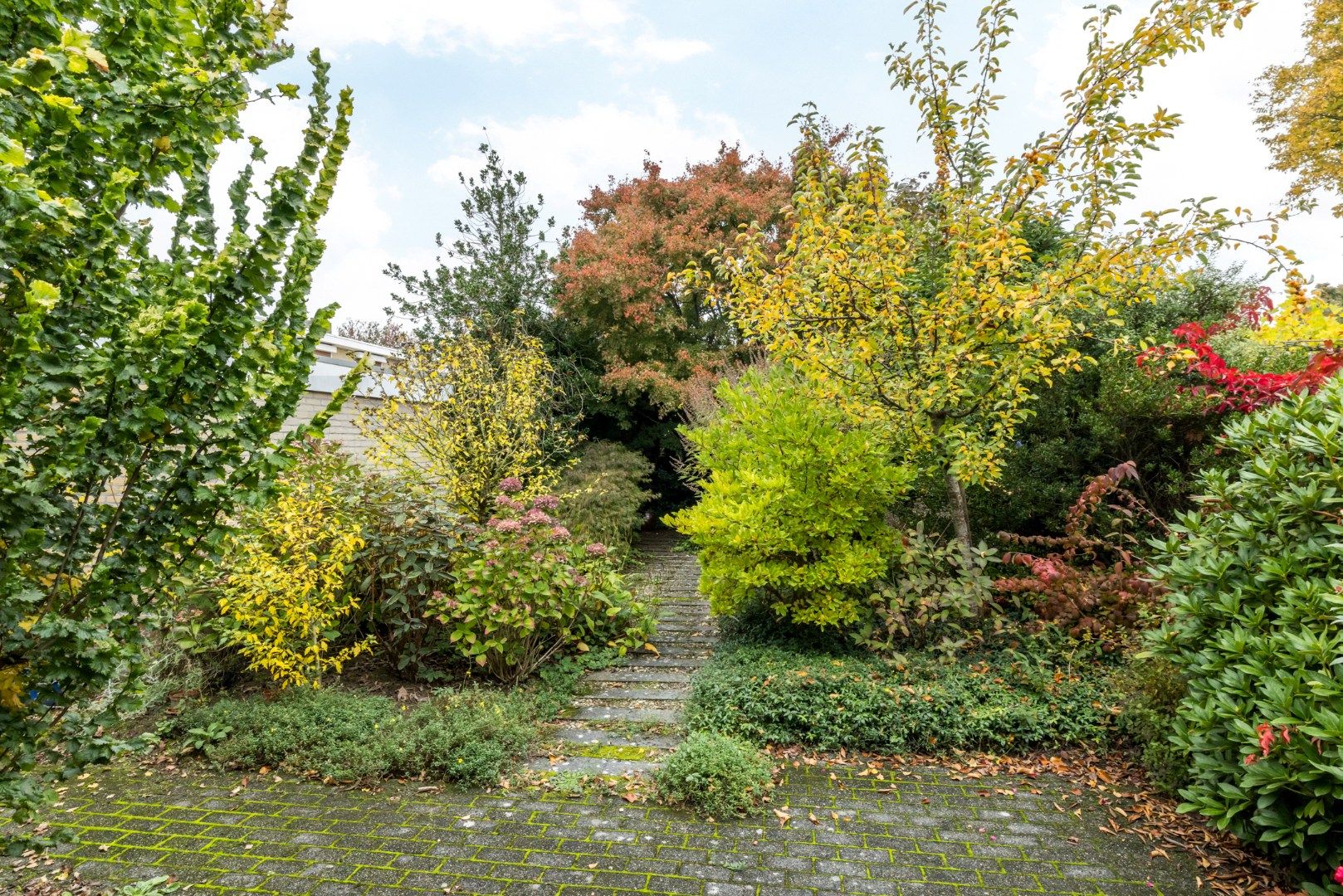 Photo 21 of Burg. Pijlsstraat 16