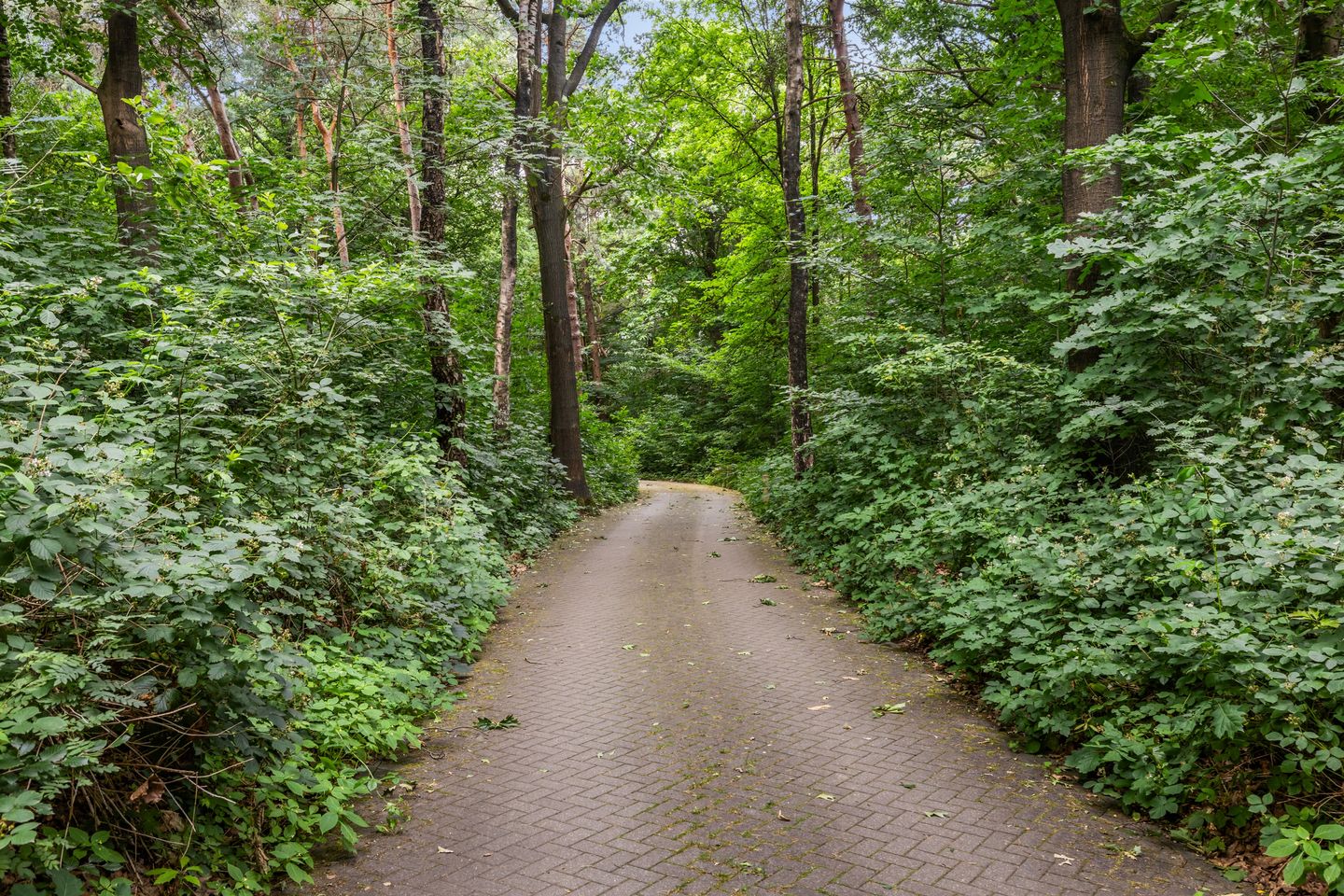 Foto 50 van Engweg 59