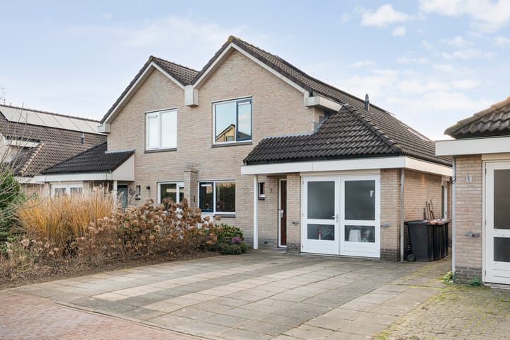 Foto 2 van Pijlkruid 7