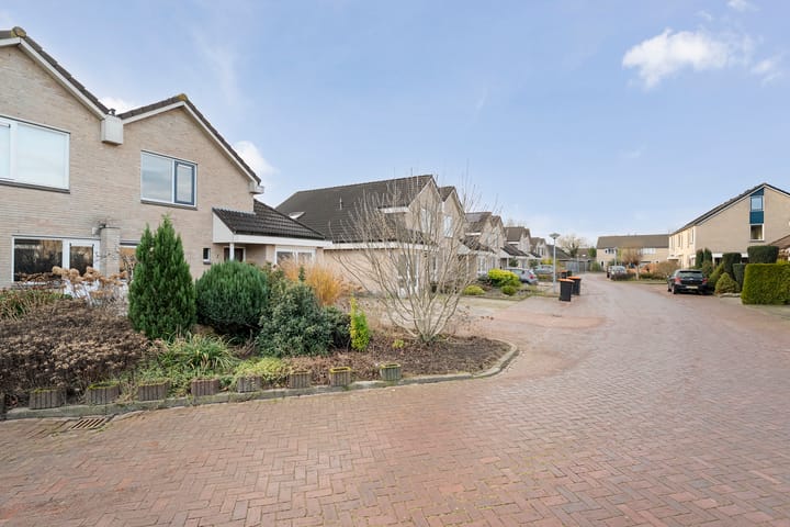 Foto 36 van Pijlkruid 7