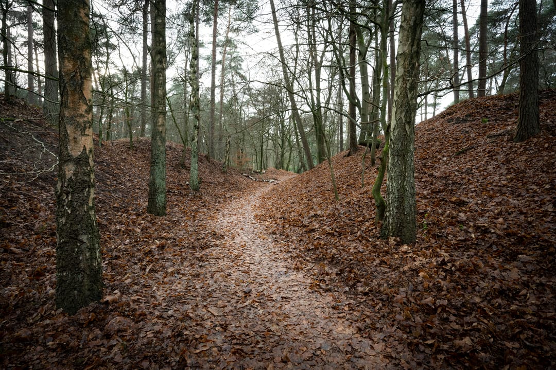 Photo 23 of De Jutberg 78-91