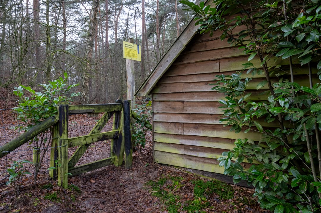 Photo 22 of De Jutberg 78-91