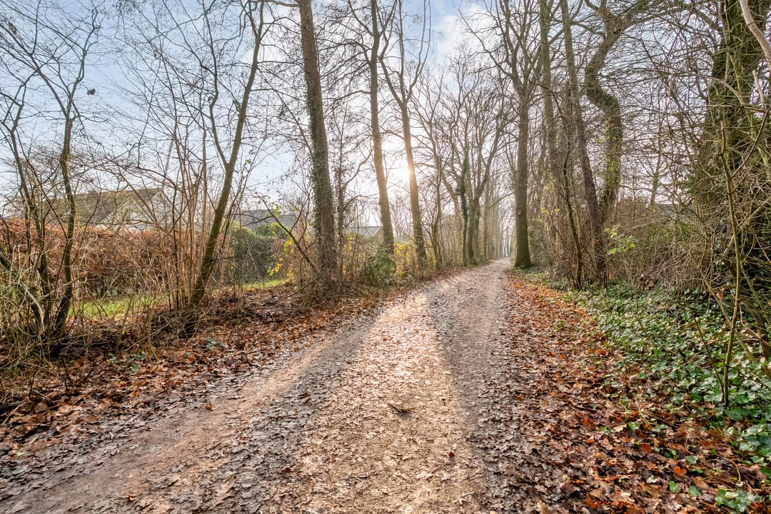 Foto 53 van Engelgaarde 15