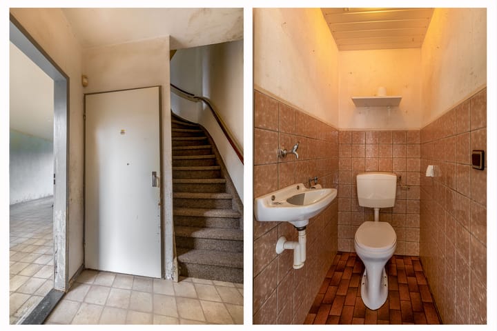 Photo 8 of Fazantenpad 10