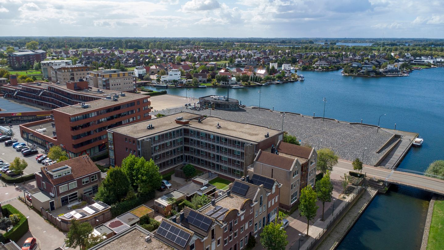 Foto 4 van Lavendel 412