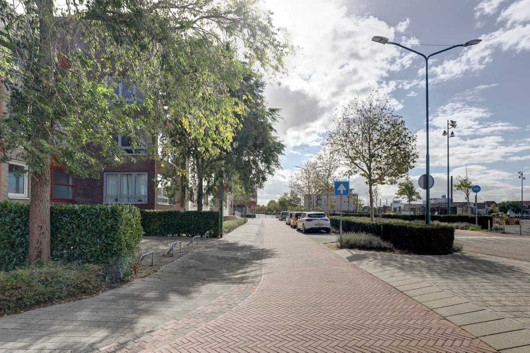 Foto 8 van Lavendel 412