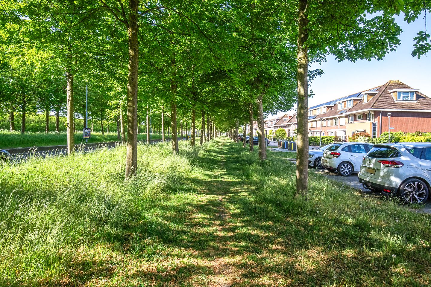 Foto 35 van Griseldalaan 74