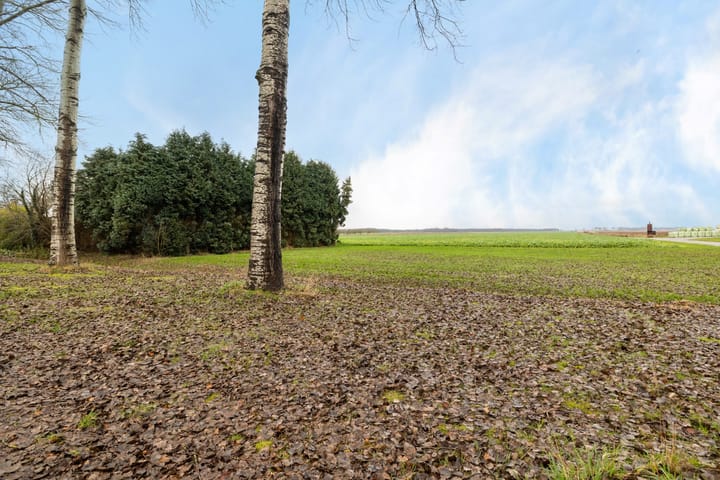 Foto 2 van Noorderdiep 84