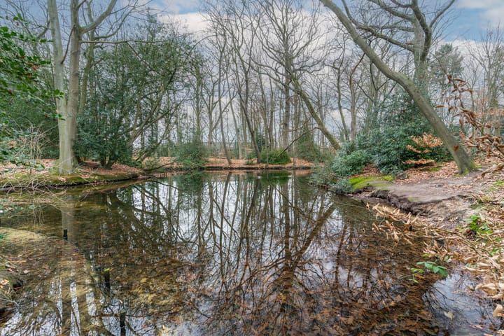 Foto 30 van Crosestein 2030