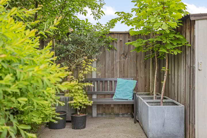 Foto 34 van Kleine Vuurvlinder 54