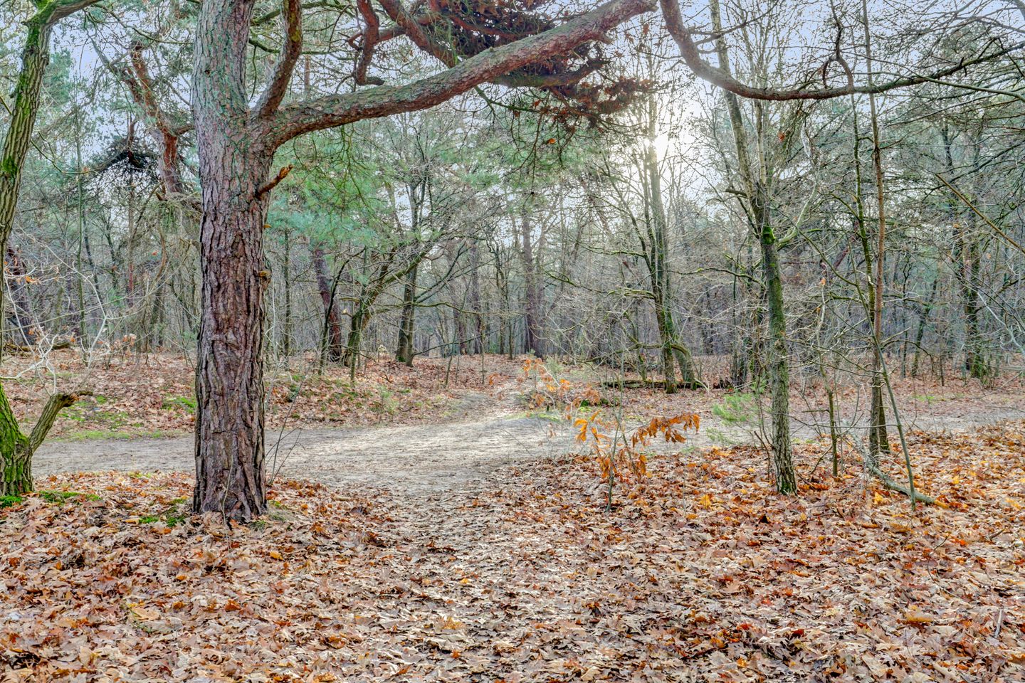 Foto 29 van Vuurvlinderhof 8