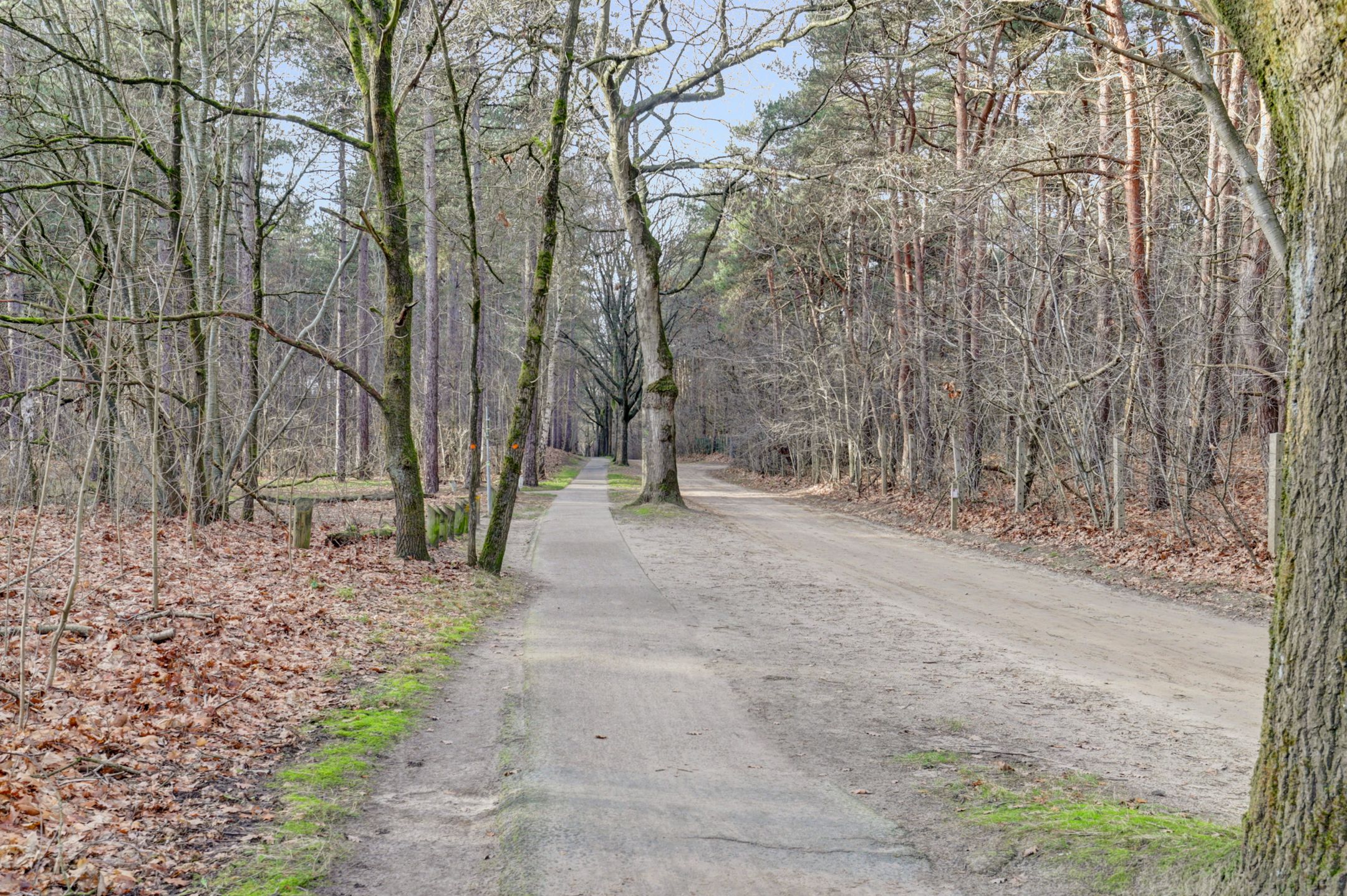 Foto 30 van Vuurvlinderhof 8