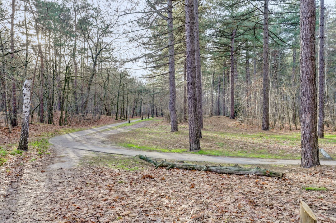 Foto 31 van Vuurvlinderhof 8