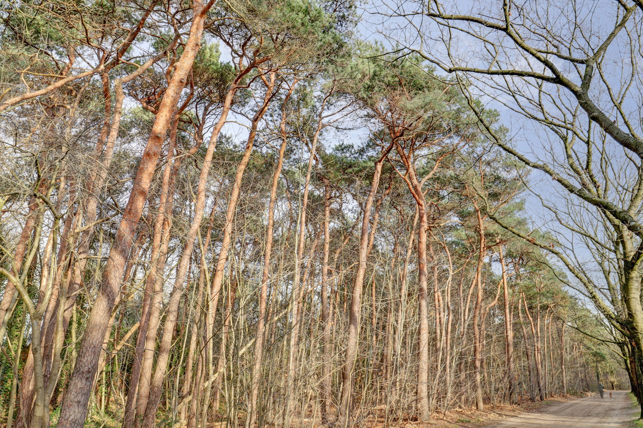 Foto 33 van Vuurvlinderhof 8