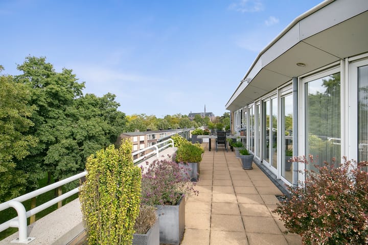 Foto 4 van Dommelrodelaan 13-M