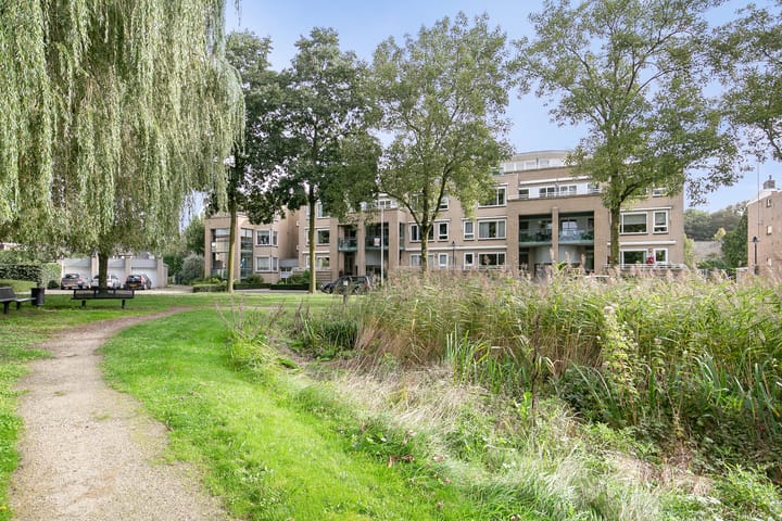 Foto 41 van Dommelrodelaan 13-M