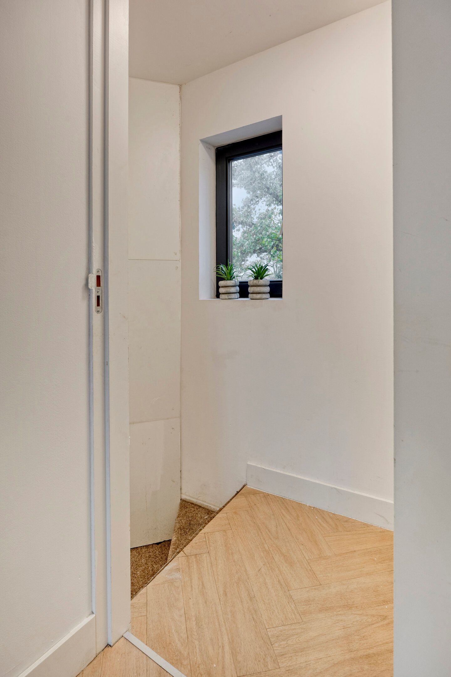 Foto 9 van Zonnehofstraat 54