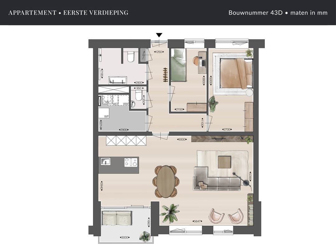 Photo 6 of Driek van Erpstraat