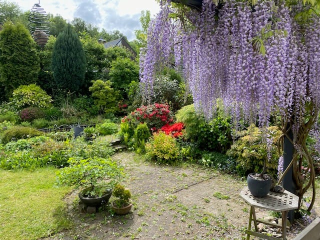 Foto 8 van Everdrift 17