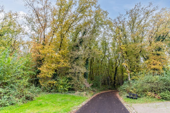 Foto 42 van Everdrift 17