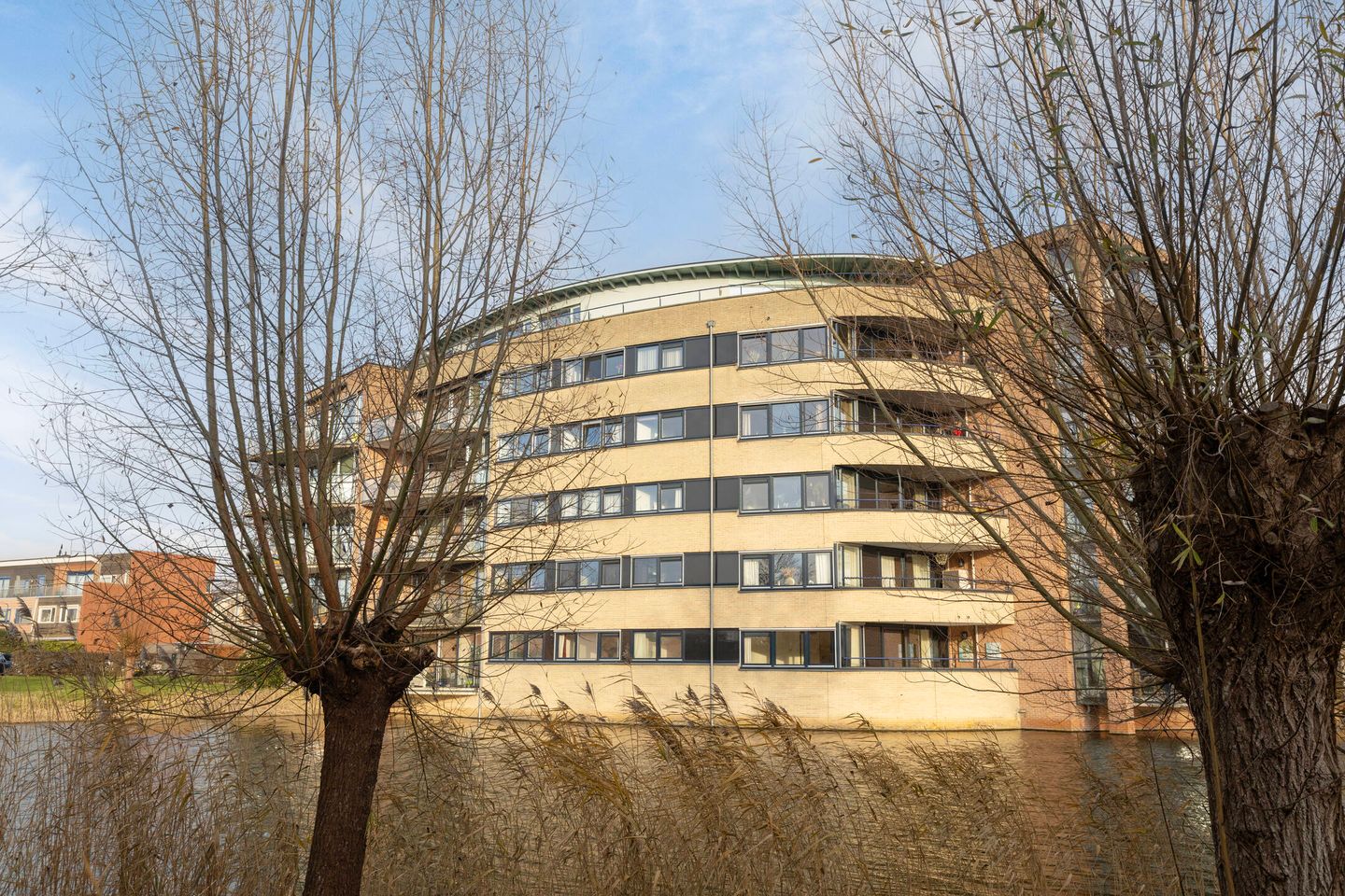 Photo 1 of Witmolen 49