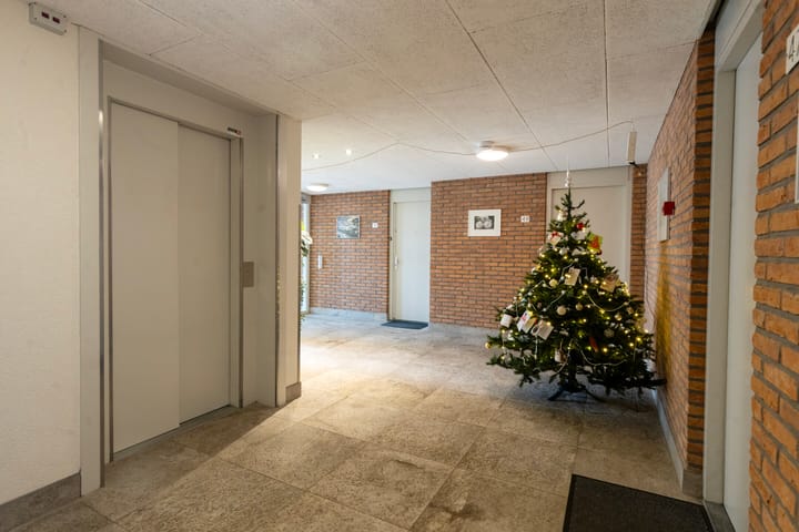 Photo 3 of Witmolen 49