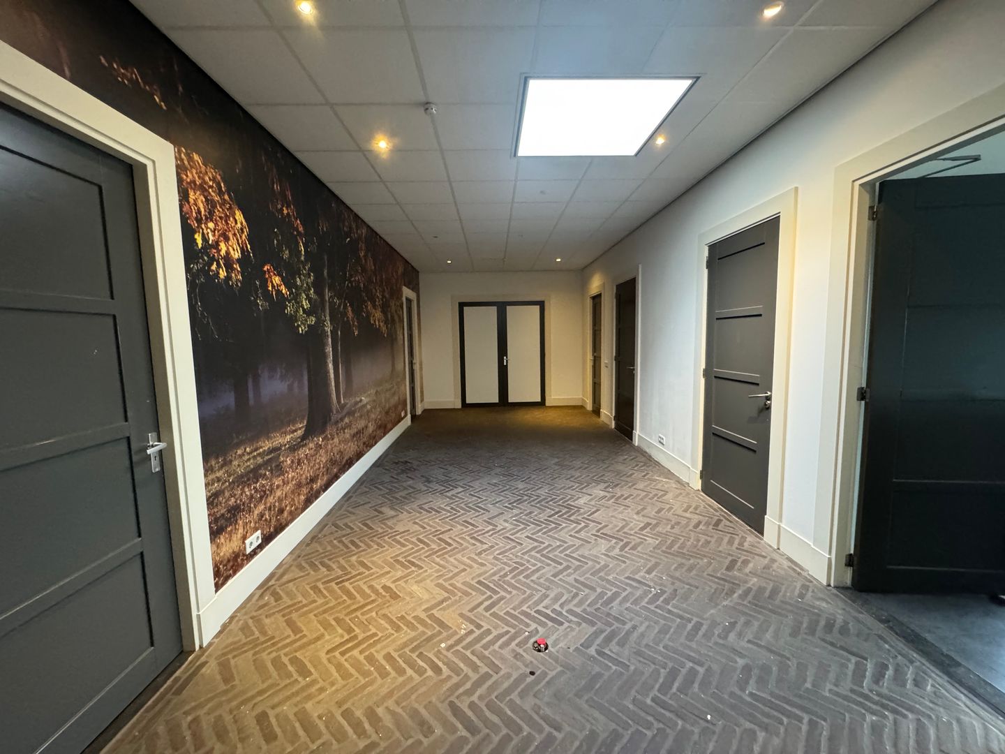 View photo 4 of Kauwenhoven 58