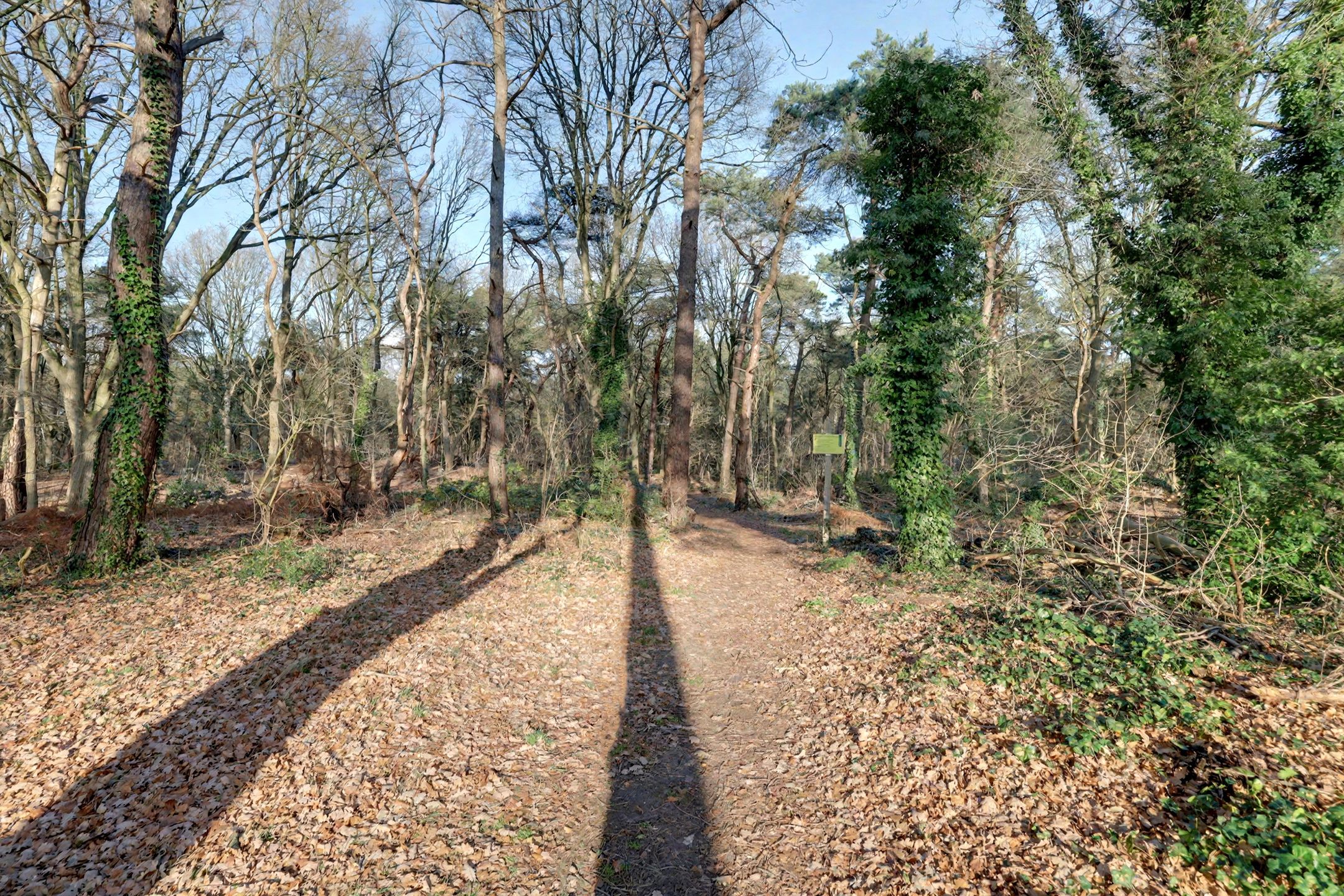 Foto 45 van Hertog van Brabantweg 8