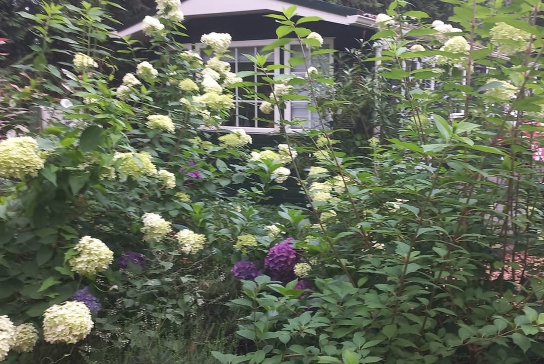 Foto 22 van Hanendorperweg 512-002