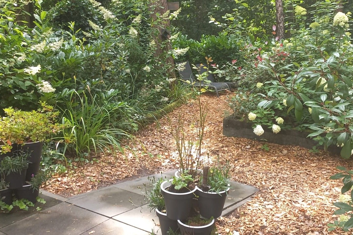 Foto 25 van Hanendorperweg 512-002