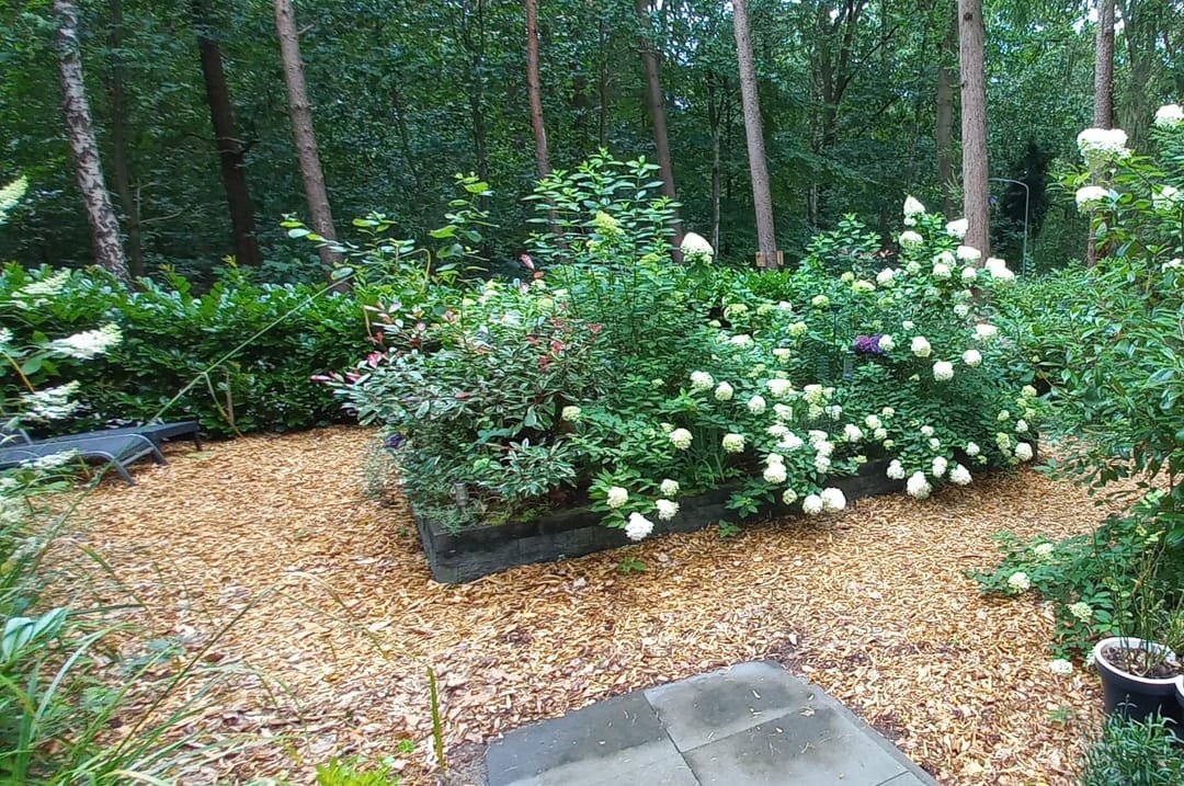 Foto 26 van Hanendorperweg 512-002