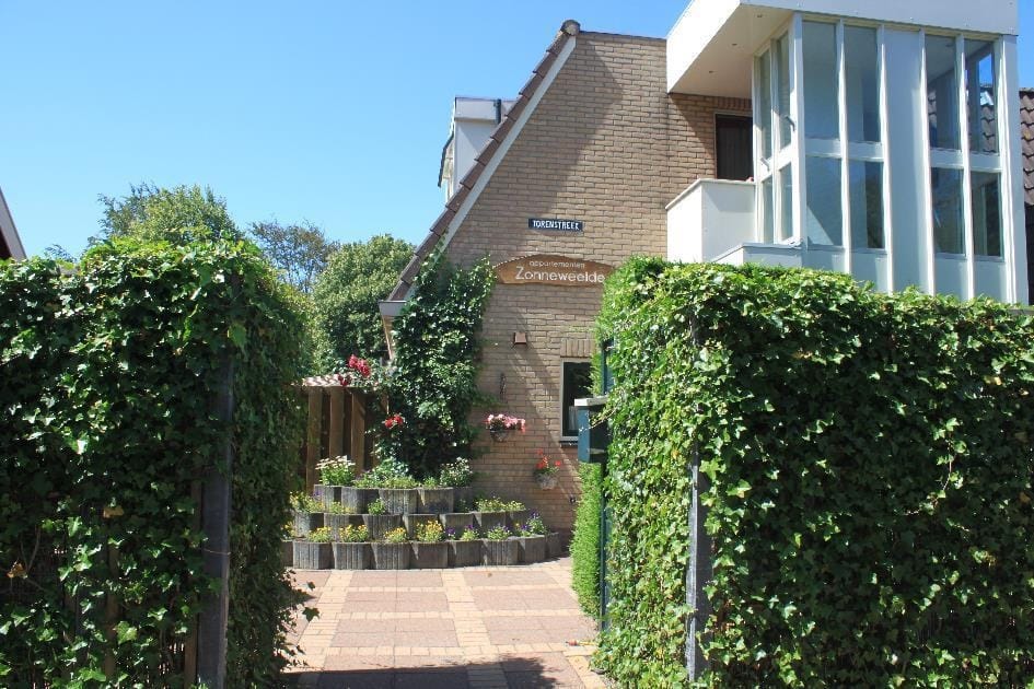Torenstreek 19