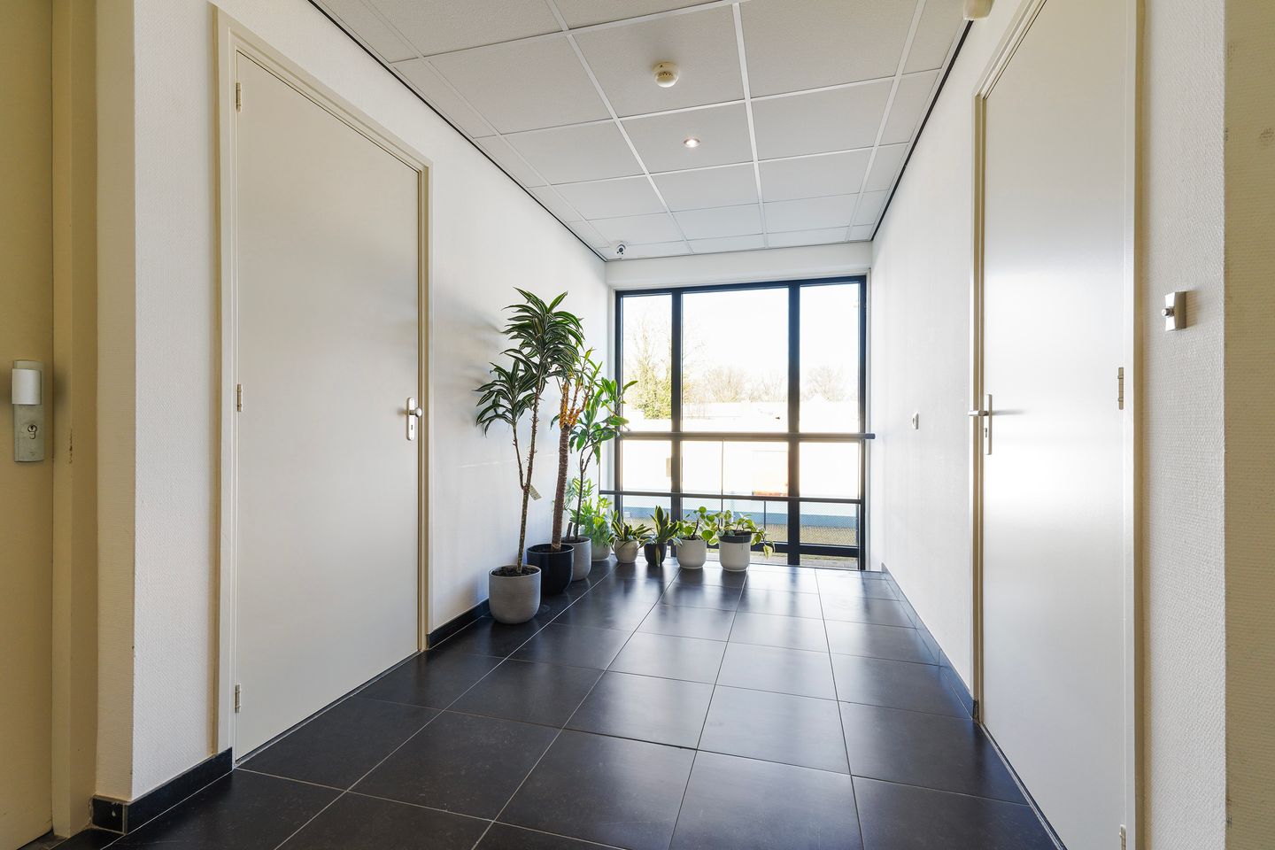 View photo 5 of Meutestraat 14