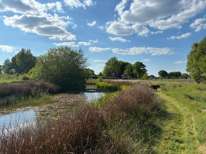 Photo 69 of Achter de Broeken 6