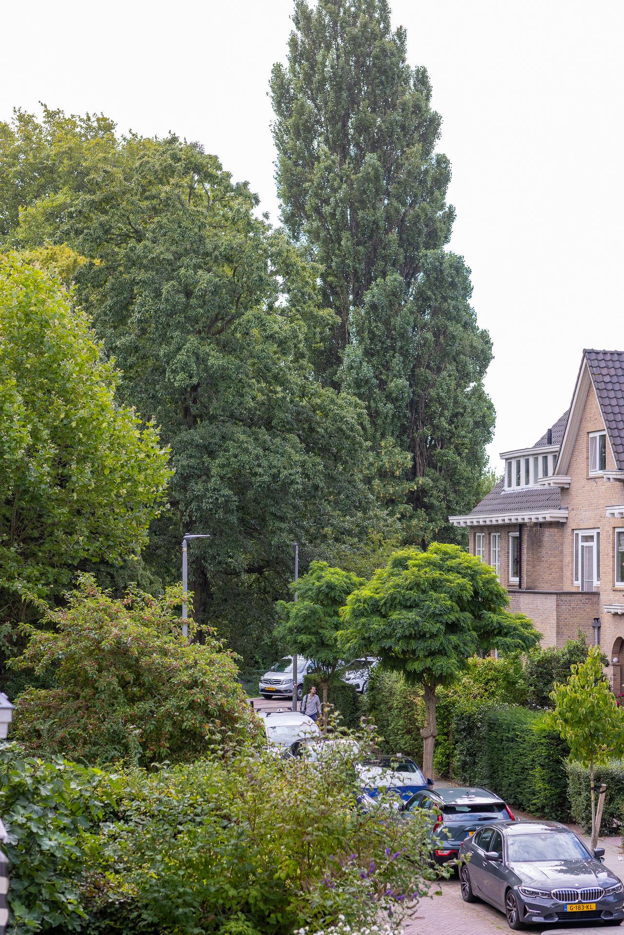 Photo 30 of Willem Nagellaan 10