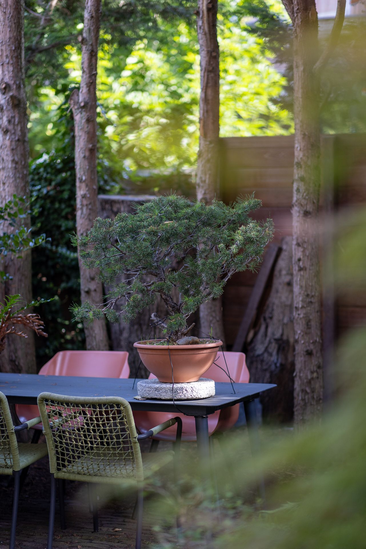 Photo 44 of Willem Nagellaan 10