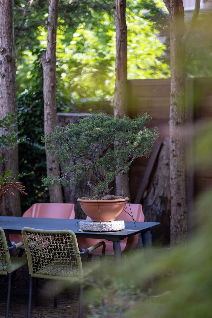 Foto 44 van Willem Nagellaan 10