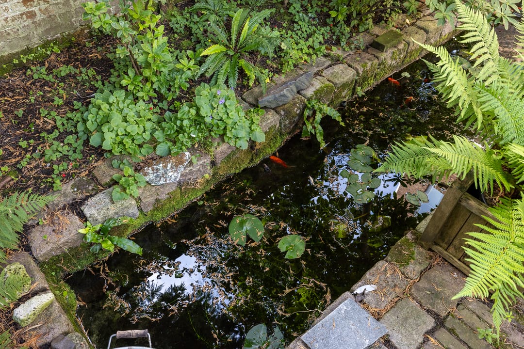 Photo 47 of Willem Nagellaan 10