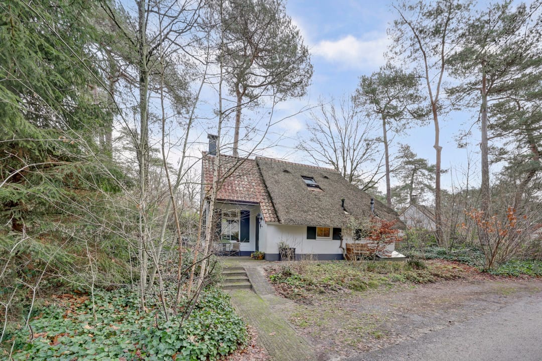 Photo 1 of De Witte Bergen 46
