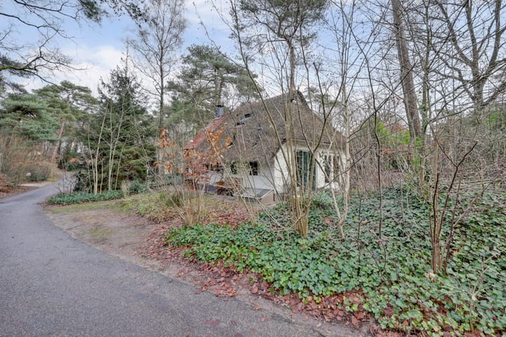 Foto 2 van De Witte Bergen 46