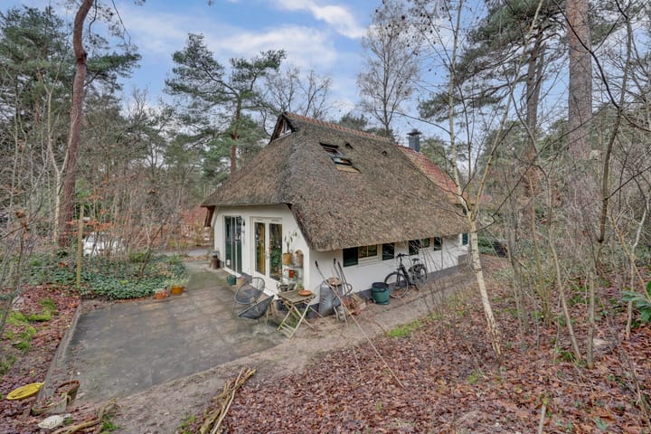 Foto 3 van De Witte Bergen 46