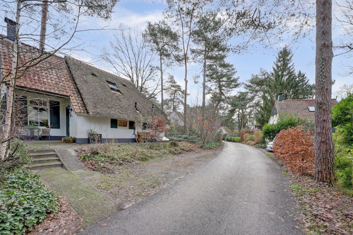 Photo 5 of De Witte Bergen 46